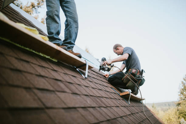 Quick and Trustworthy Emergency Roof Repair Services in Cayce, SC